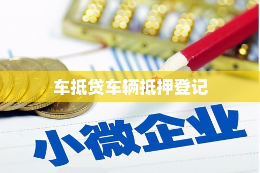 龙陵车抵贷车辆抵押登记