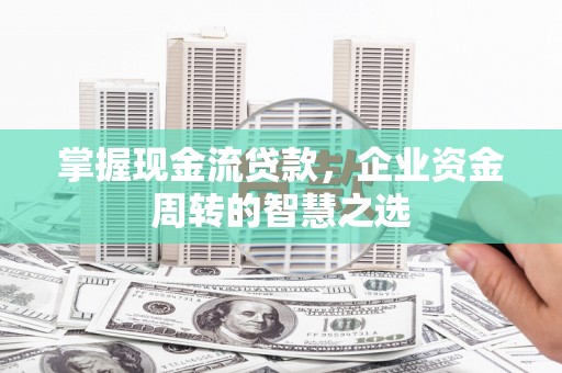荔浦掌握现金流贷款，企业资金周转的智慧之选