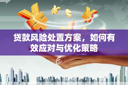 秀山贷款风险处置方案，如何有效应对与优化策略