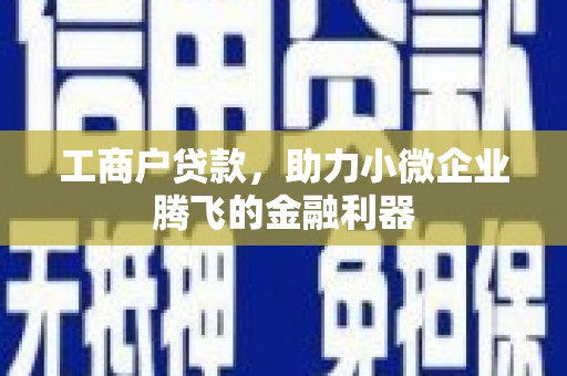 仁化工商户贷款，助力小微企业腾飞的金融利器