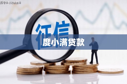 蔡甸度小满贷款