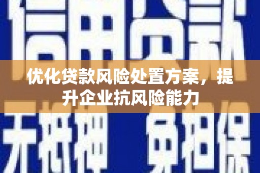 习水优化贷款风险处置方案，提升企业抗风险能力