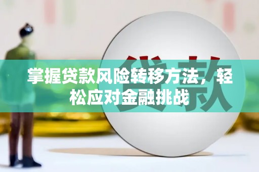 宽甸掌握贷款风险转移方法，轻松应对金融挑战