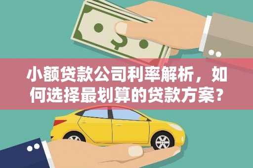 长泰小额贷款公司利率解析，如何选择最划算的贷款方案？