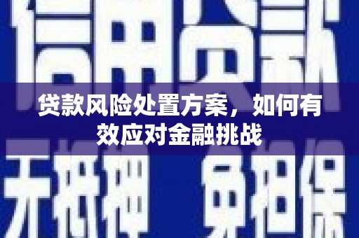 弋江贷款风险处置方案，如何有效应对金融挑战