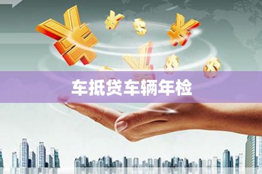 荥经车抵贷车辆年检