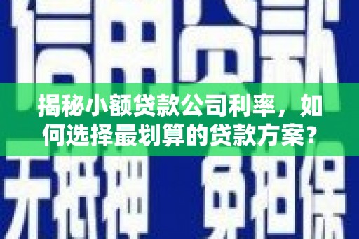 工业园区揭秘小额贷款公司利率，如何选择最划算的贷款方案？