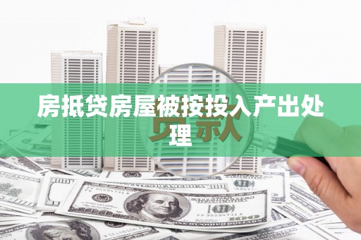 贵定房抵贷房屋被按投入产出处理