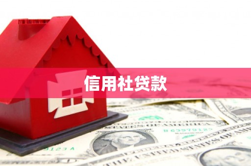 贵定信用社贷款