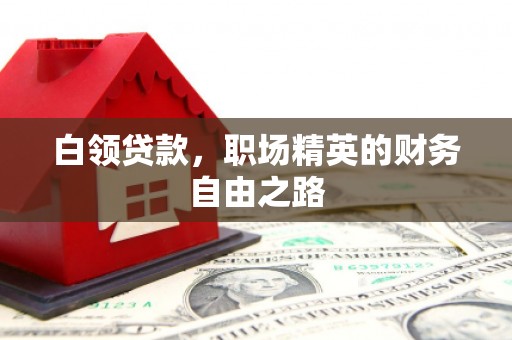 龙安白领贷款，职场精英的财务自由之路