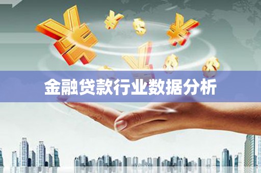 龙安金融贷款行业数据分析
