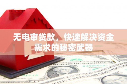磐安无电审贷款，快速解决资金需求的秘密武器