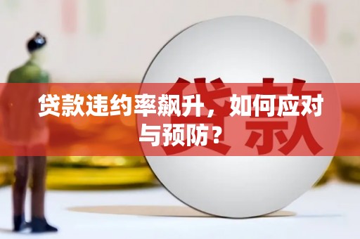 博罗贷款违约率飙升，如何应对与预防？