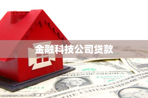 班玛金融科技公司贷款
