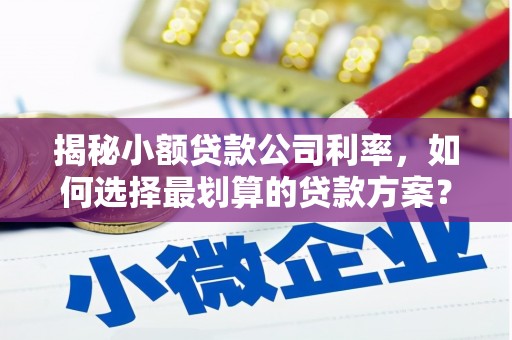 清丰揭秘小额贷款公司利率，如何选择最划算的贷款方案？
