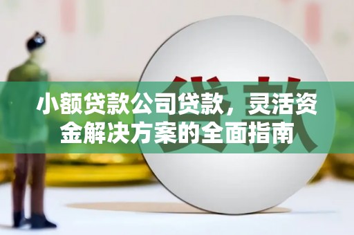 灵宝小额贷款公司贷款，灵活资金解决方案的全面指南