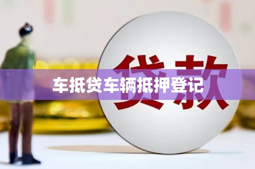 广水车抵贷车辆抵押登记