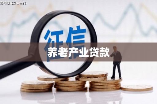 融水养老产业贷款