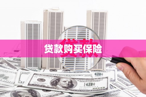 平遥贷款购买保险