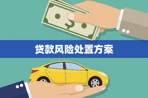 烟台贷款风险处置方案