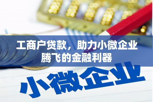 长洲工商户贷款，助力小微企业腾飞的金融利器