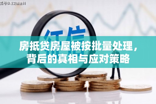 海沧房抵贷房屋被按批量处理，背后的真相与应对策略