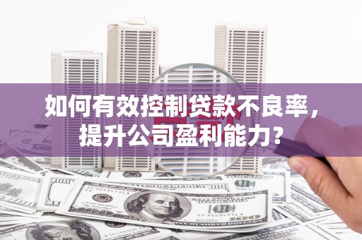 普兰店如何有效控制贷款不良率，提升公司盈利能力？