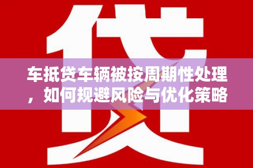 海沧车抵贷车辆被按周期性处理，如何规避风险与优化策略