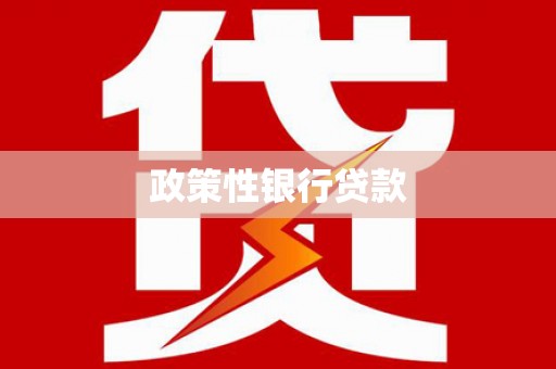 沿河政策性银行贷款