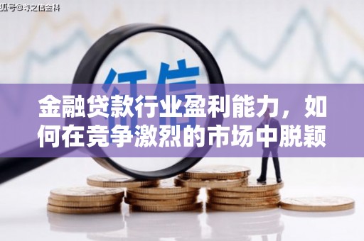 马尾金融贷款行业盈利能力，如何在竞争激烈的市场中脱颖而出？
