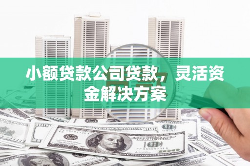 沂南小额贷款公司贷款，灵活资金解决方案