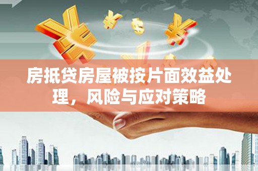 巴里坤房抵贷房屋被按片面效益处理，风险与应对策略