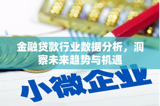 清丰金融贷款行业数据分析，洞察未来趋势与机遇