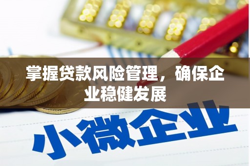 泾阳掌握贷款风险管理，确保企业稳健发展