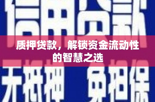 水上质押贷款，解锁资金流动性的智慧之选