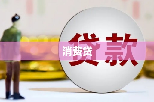 合作消费贷