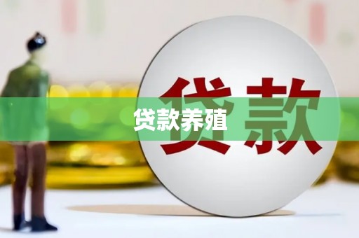 连城贷款养殖