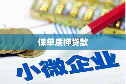 连城保单质押贷款
