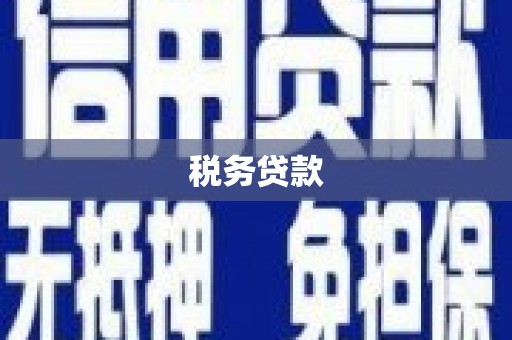 宁化税务贷款