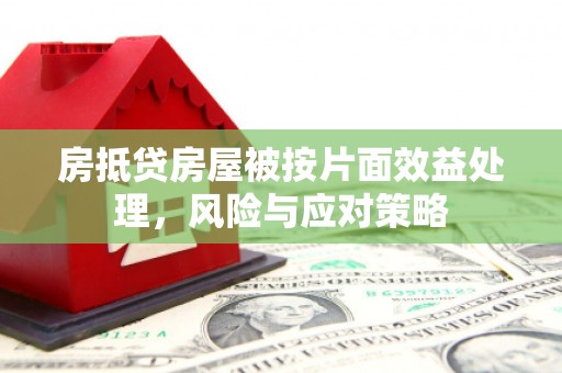 巴南房抵贷房屋被按片面效益处理，风险与应对策略
