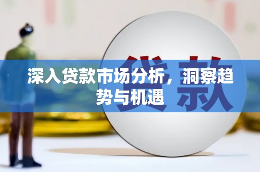 若羌深入贷款市场分析，洞察趋势与机遇
