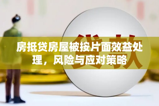 若羌房抵贷房屋被按片面效益处理，风险与应对策略