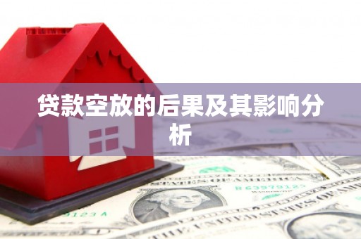 南港贷款空放的后果及其影响分析