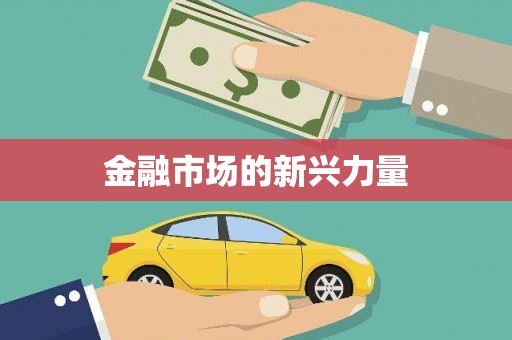 南港金融市场的新兴力量