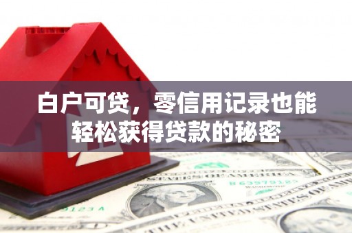 胶州白户可贷，零信用记录也能轻松获得贷款的秘密
