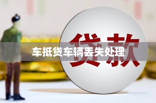 金口河车抵贷车辆丢失处理