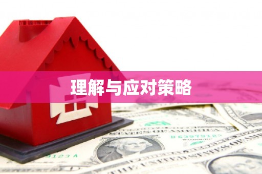 南港理解与应对策略