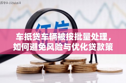 松岭车抵贷车辆被按批量处理，如何避免风险与优化贷款策略
