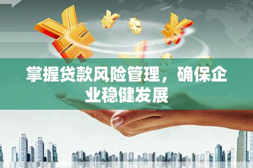 蚌山掌握贷款风险管理，确保企业稳健发展