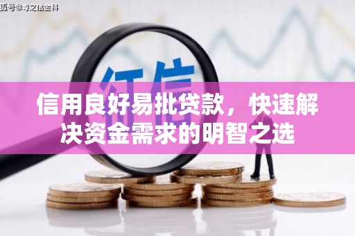 高唐信用良好易批贷款，快速解决资金需求的明智之选